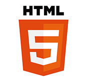 html5定制开发